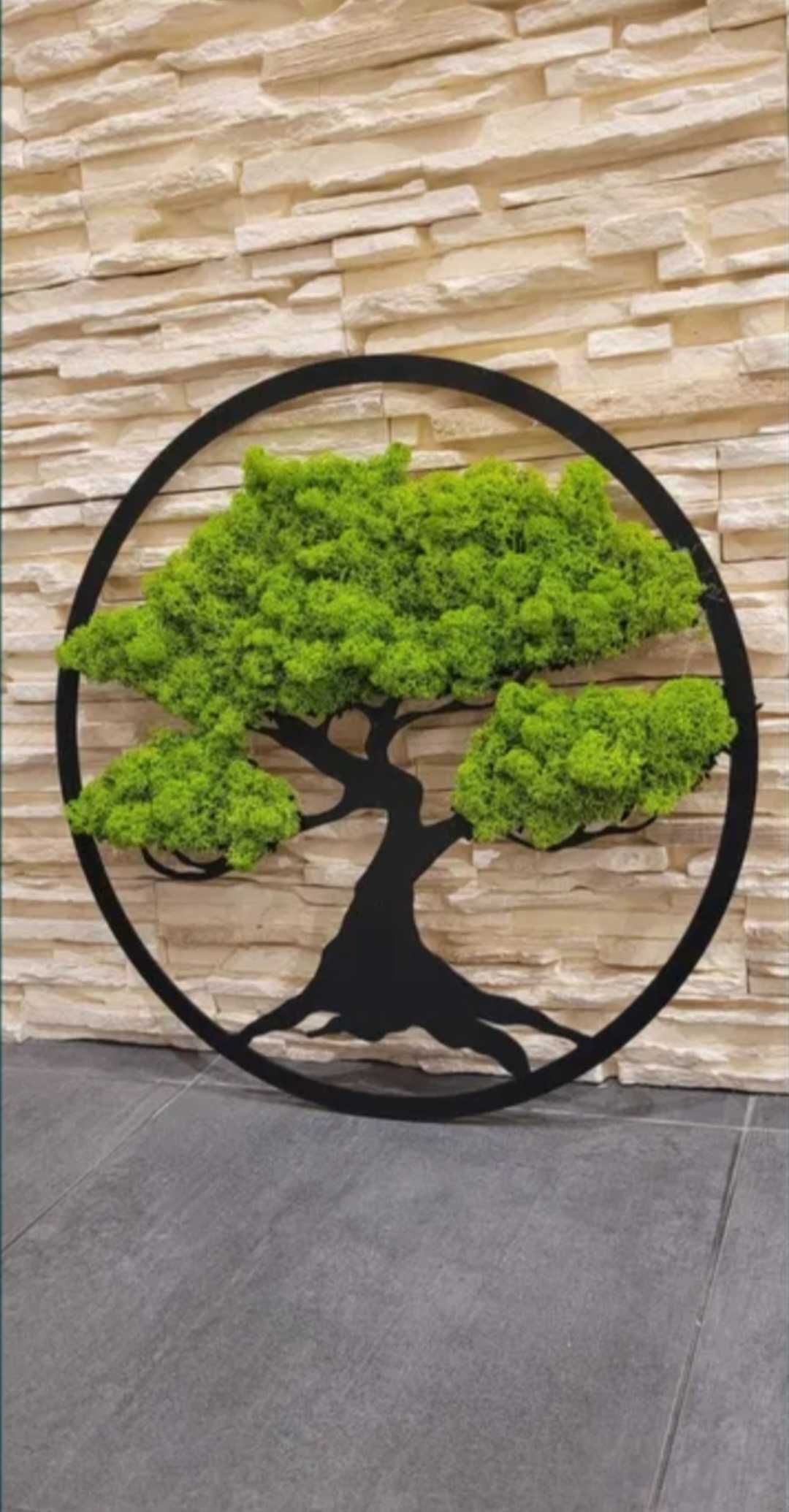 Obraz ozdoba na prezent chrobotek bonsai