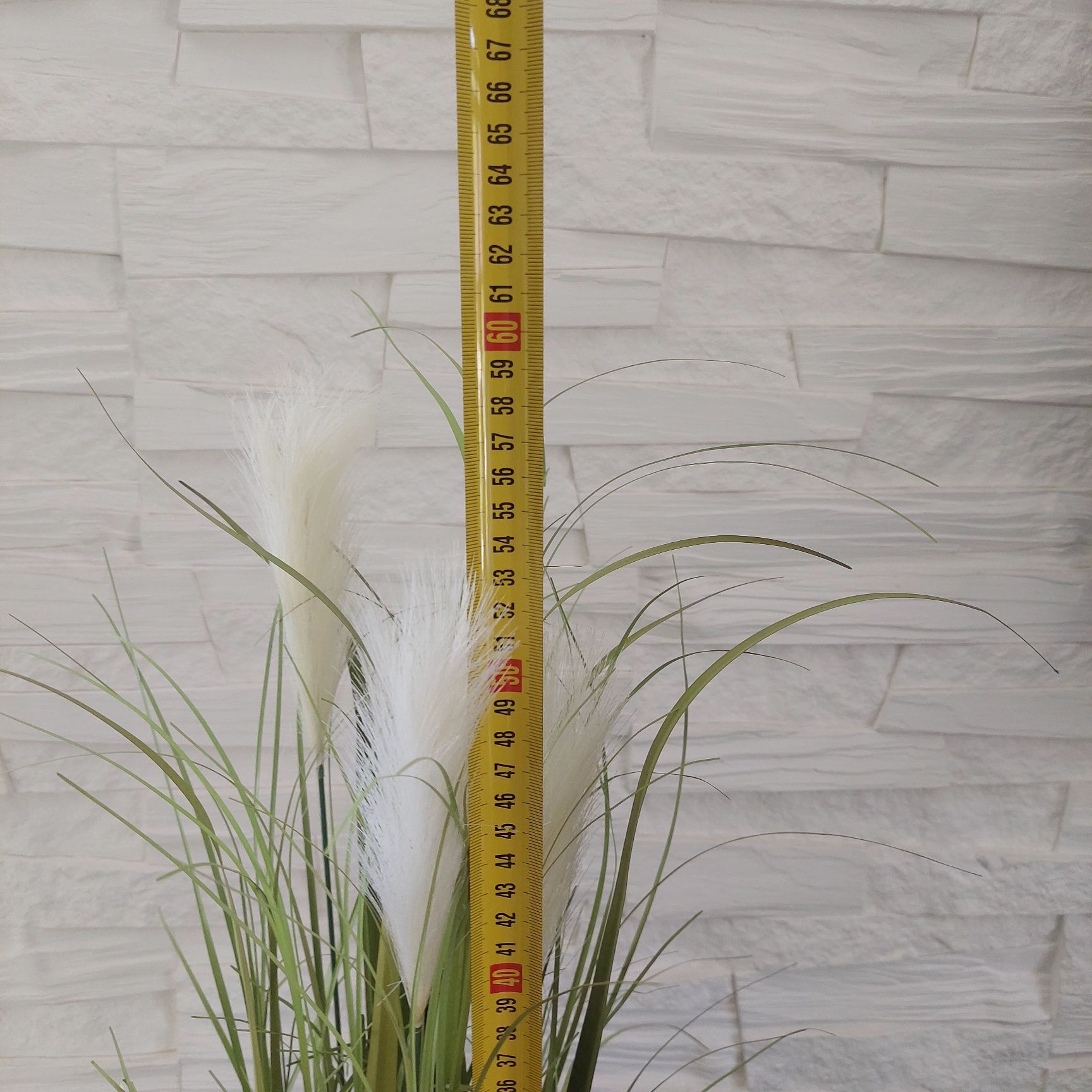 Trawa pampasowa nowa wysokość 60cm
