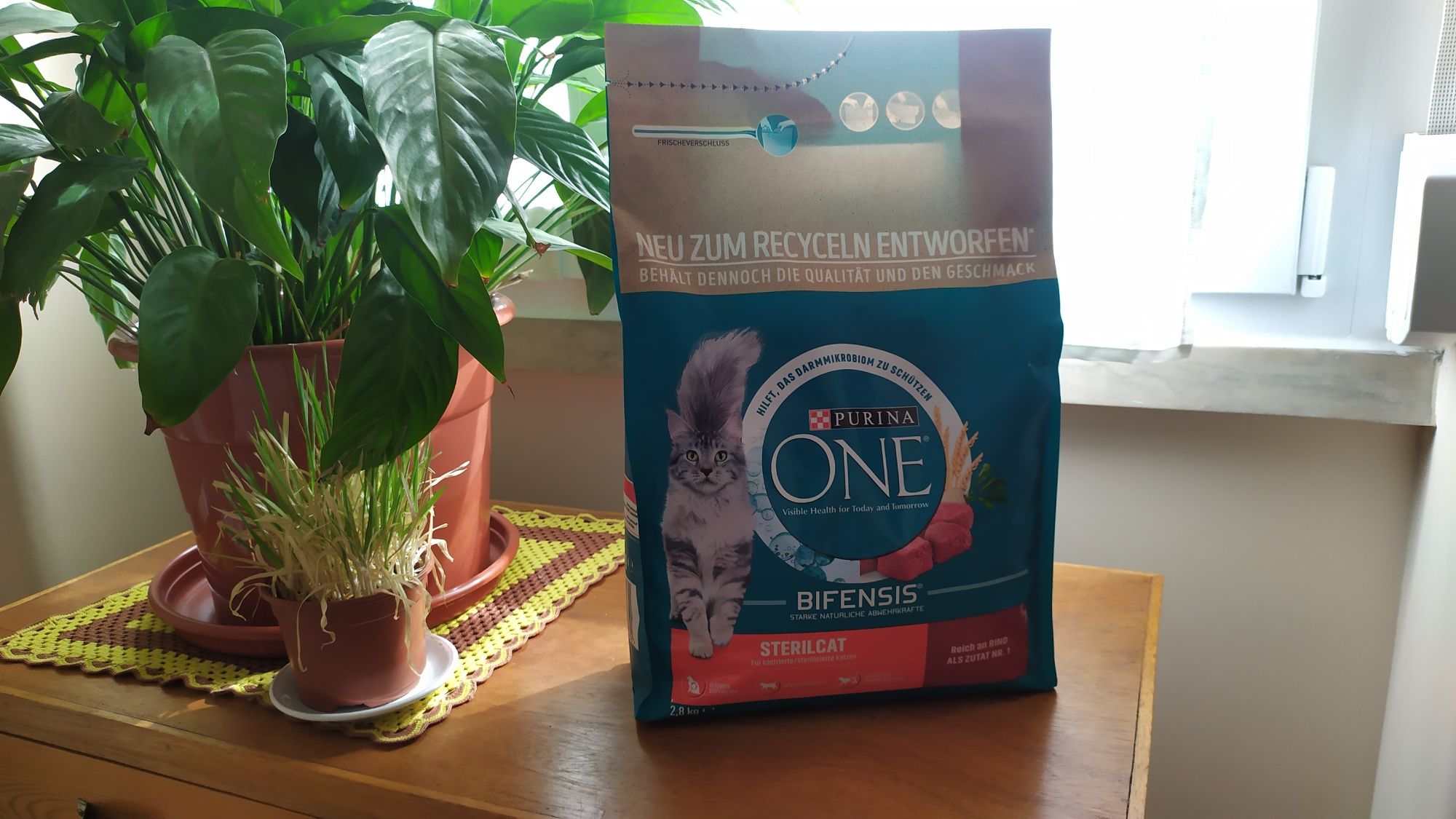 Ração Gato OnePurina Nova 2,8kg