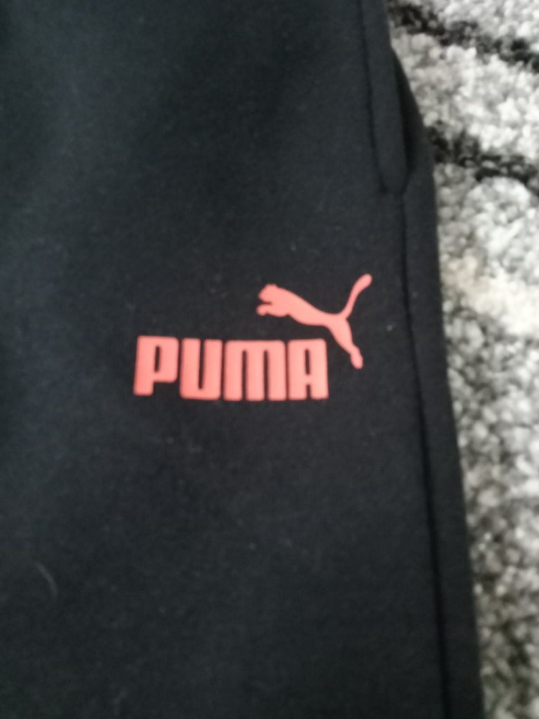 Spodnie Puma 140-146