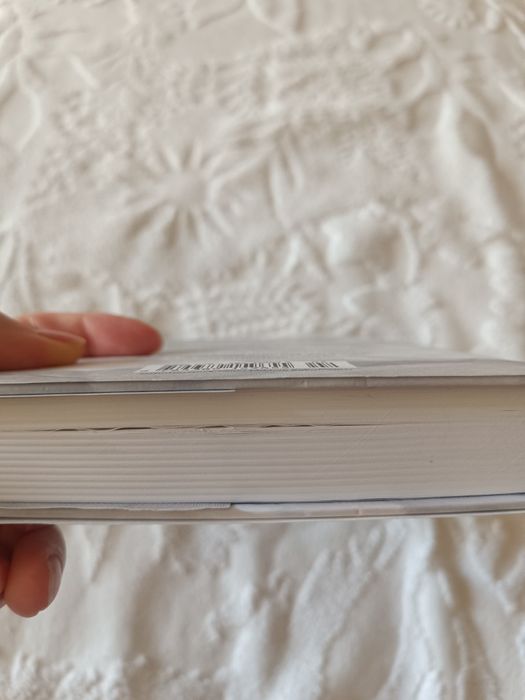 Фран Тилье. Последняя рукопись.