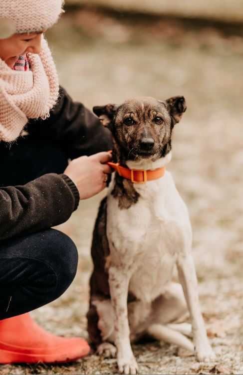 Malutka, spokojna, grzeczna Nutka poleca się do adopcji!!!