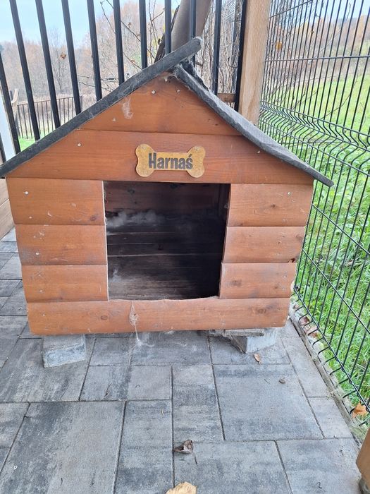 Buda dla dużego psa