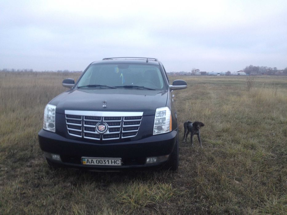 Cadillac Escalade2007 V8 6.2л,410лсГаз-Бензин куплен новым в Киеве2008