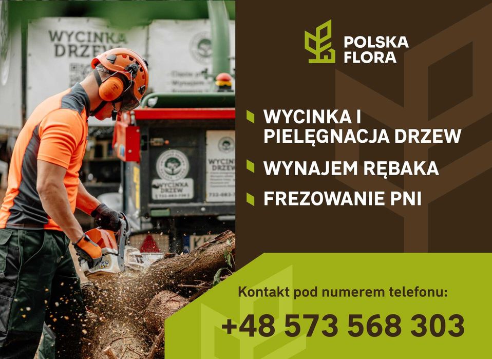 Wycinka drzew, pielęgnacja drzew, sprzedaż drewna. BEZPŁATNA WYCENA