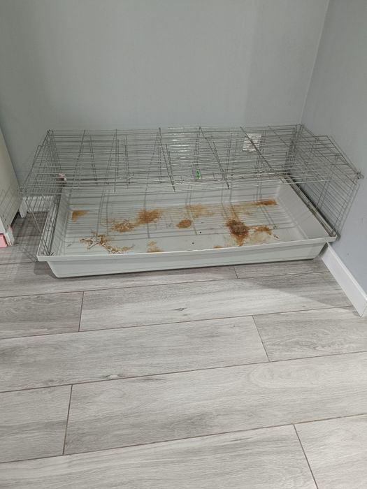 Duża klatka dla królika