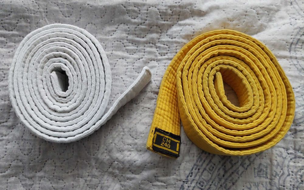 Zestaw pasów do judo/kimono