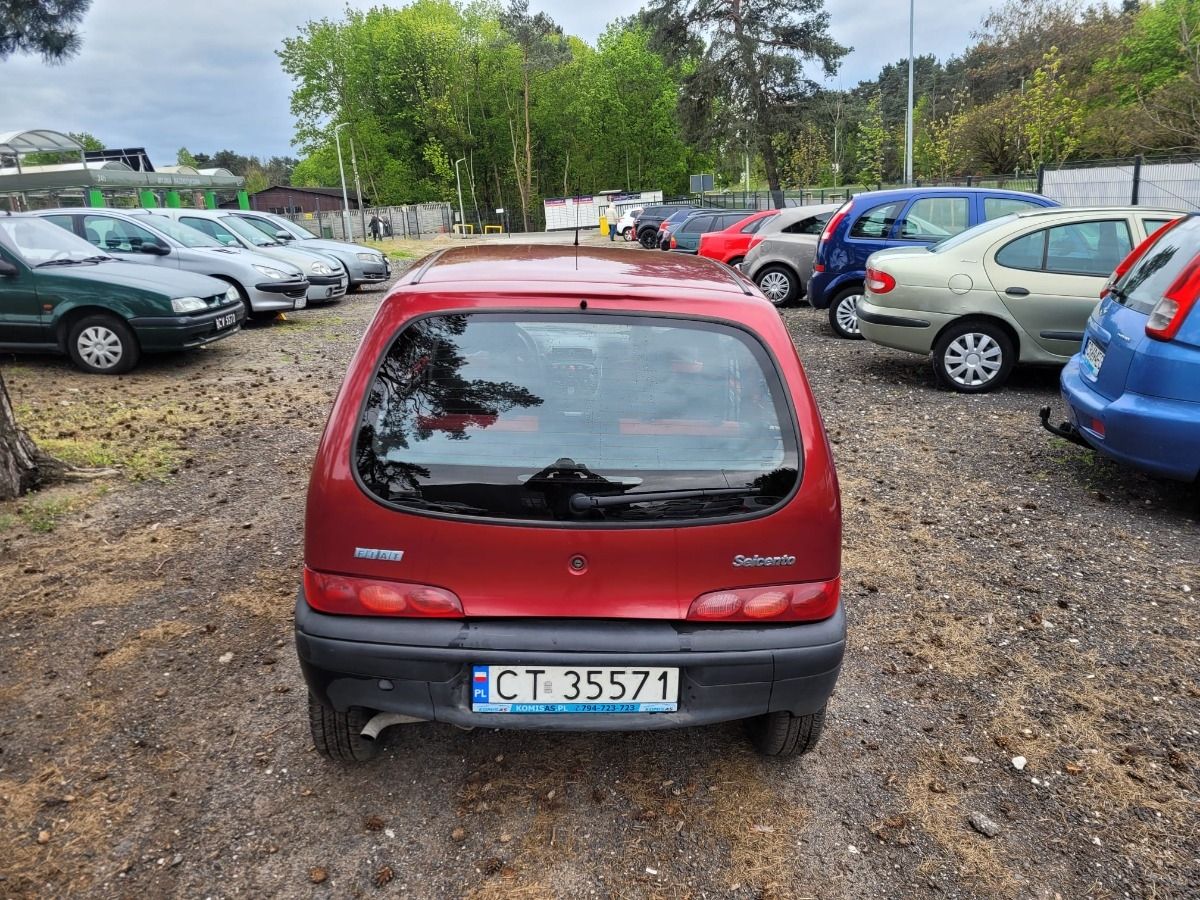 Fiat Seicento 1.1 benzyna • Radio • Niski przebieg • TORUŃ