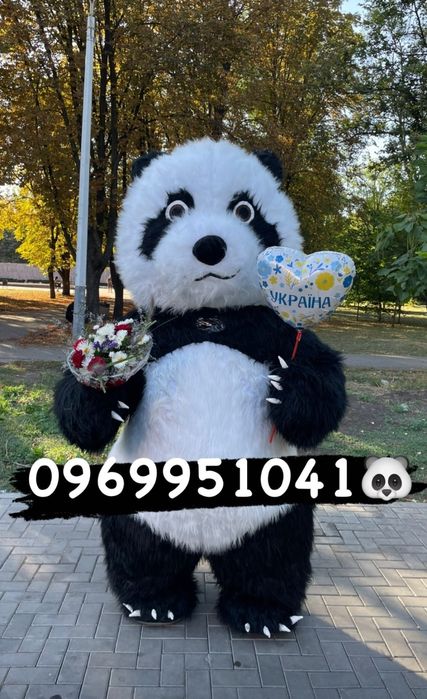 Панда Аніматор. Привітання