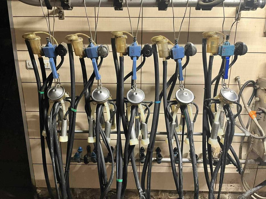 Dojarka przewodowa 5 aparatów udojowych