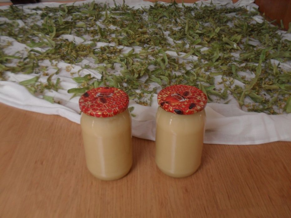 Pyłek pszczeli-Ekologiczny polski miód rzepakowy a 1,3 kg