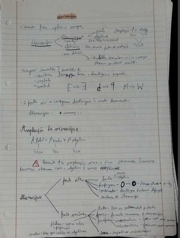 Resumo da matéria de Biologia- Geologia 10º e 11º anos