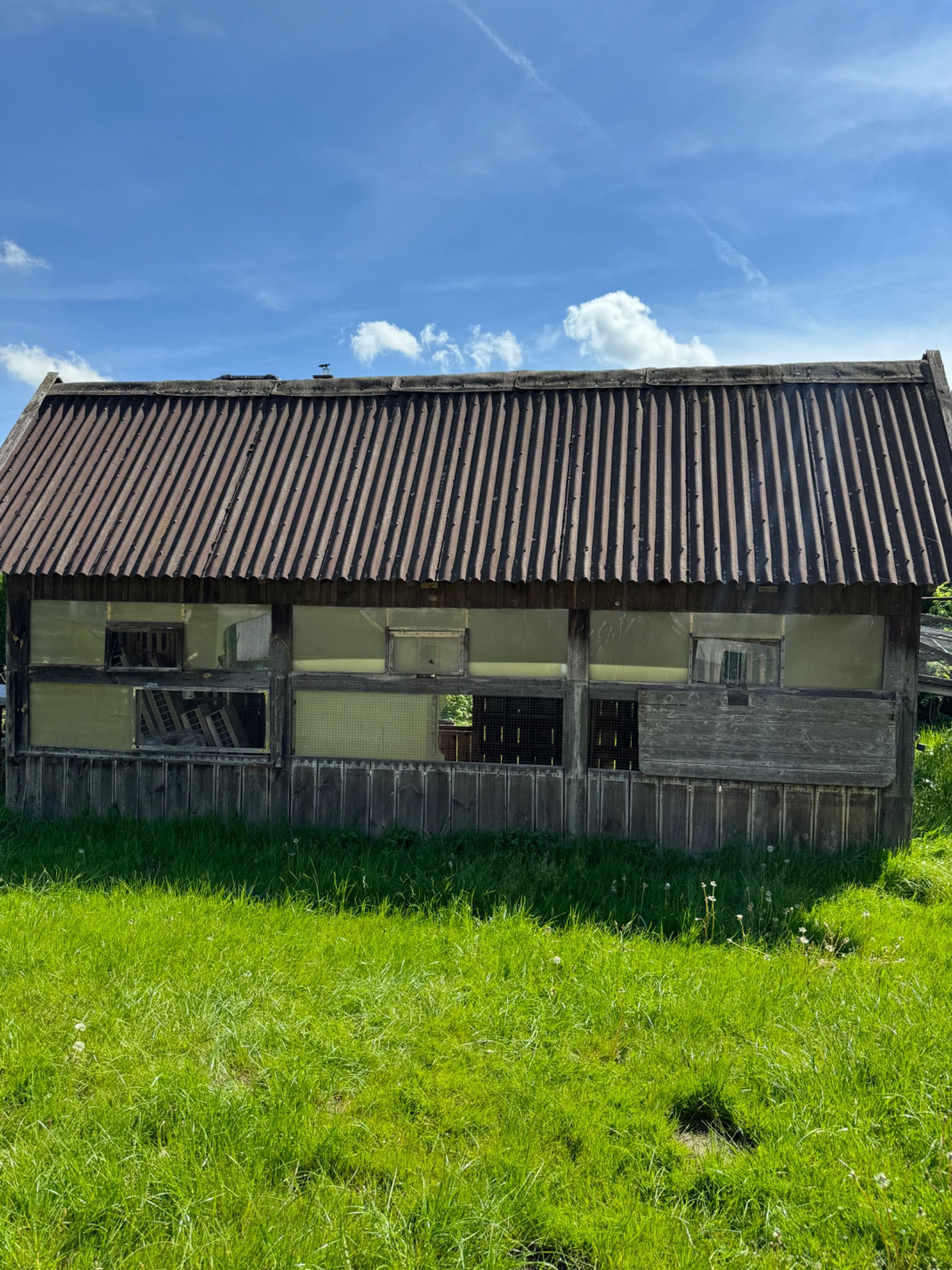 Gołębnik dla młodych gołębi