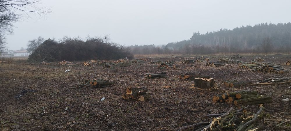 Zakładanie trawników wycinka równanie i odwodniene terenu