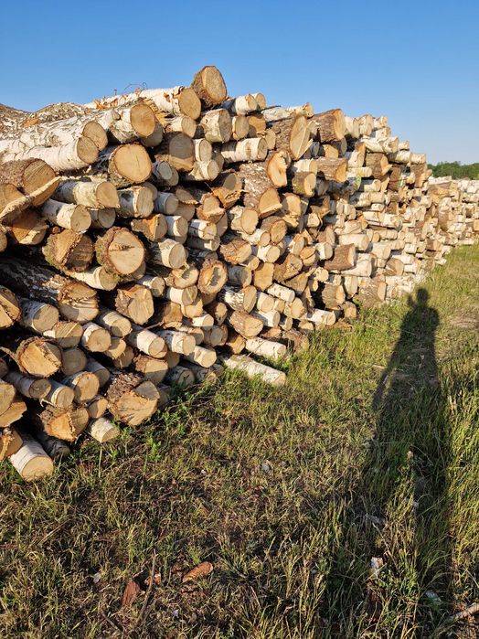 Drewno kominkowe łupane brzoza olcha