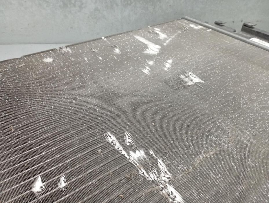 Radiador de água RENAULT Scénic II (JM0/1_)