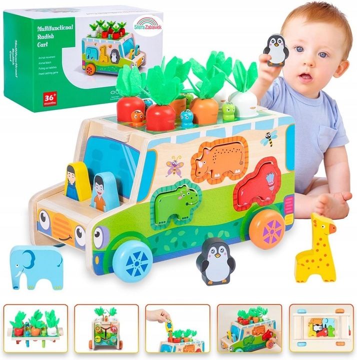 Montessori Sorter Klocków Złap Robaczka Auto Układanka Marchewki I Rob