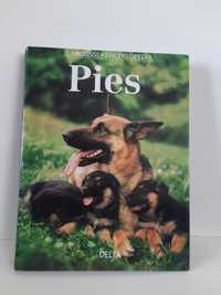 Encyklopedia Pies