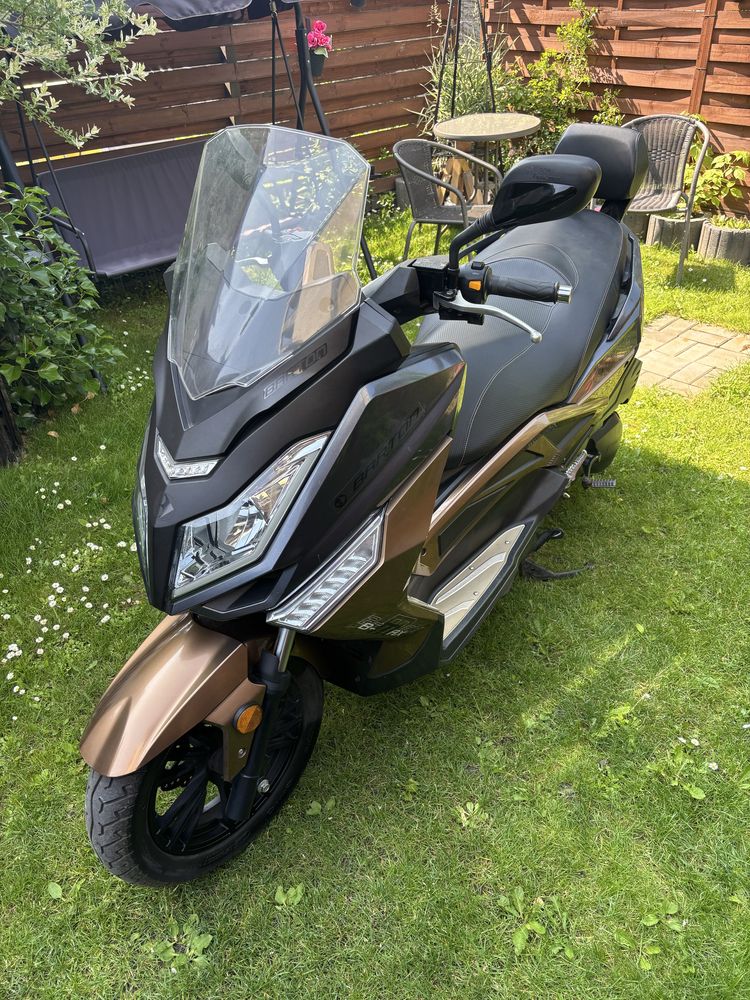 Barton b-max 125