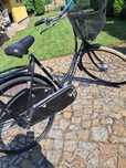 Rower damka Gazelle Basic koła 29” przerzutki
