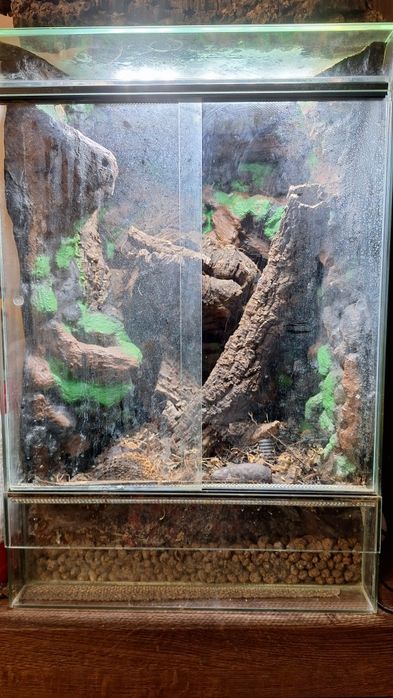 Terrarium z oświetleniem