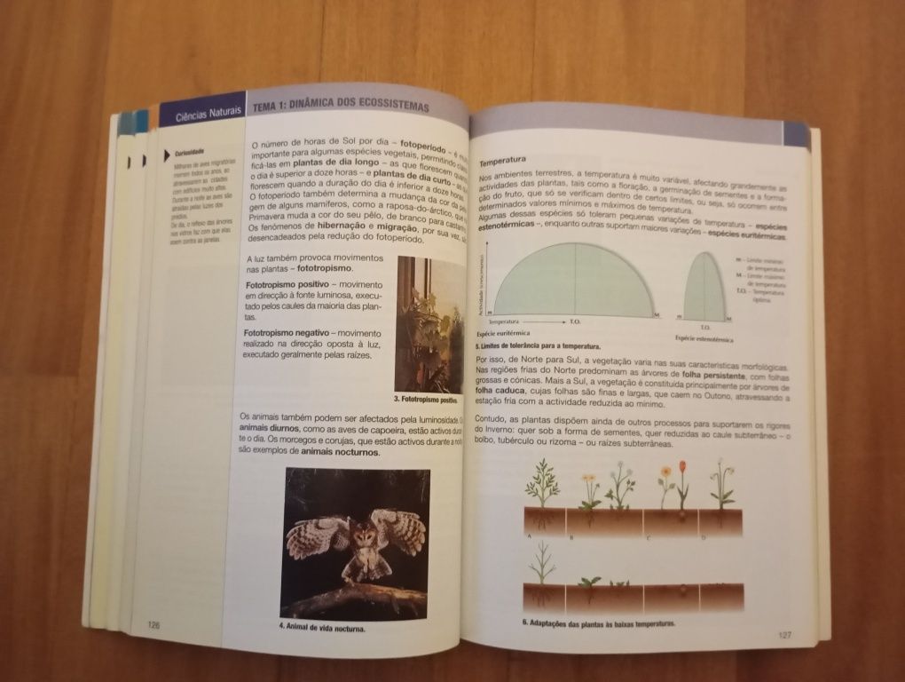 Livro- o indispensável para o básico