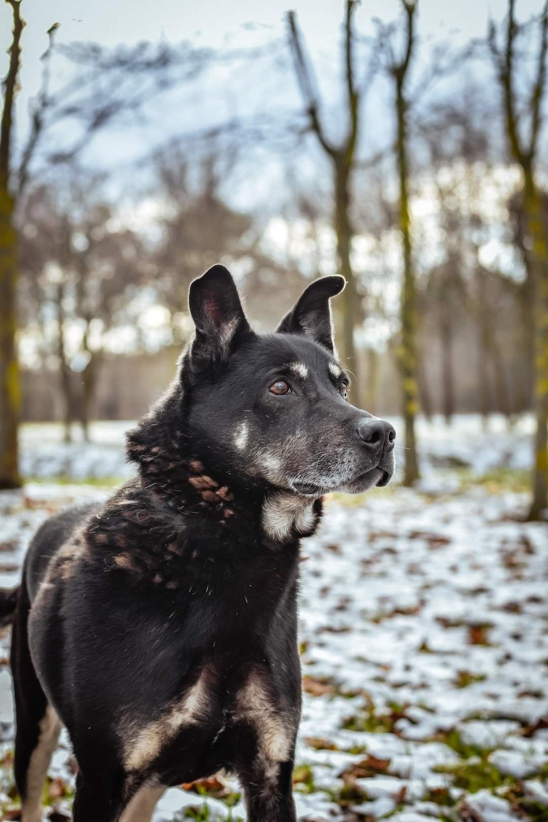 Kocham człowieka całym swoim sercem. A ty pokochasz mnie?