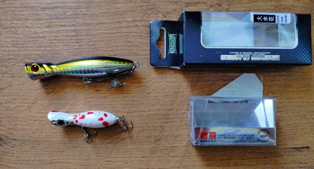 Wobler powierzchniowy Popper