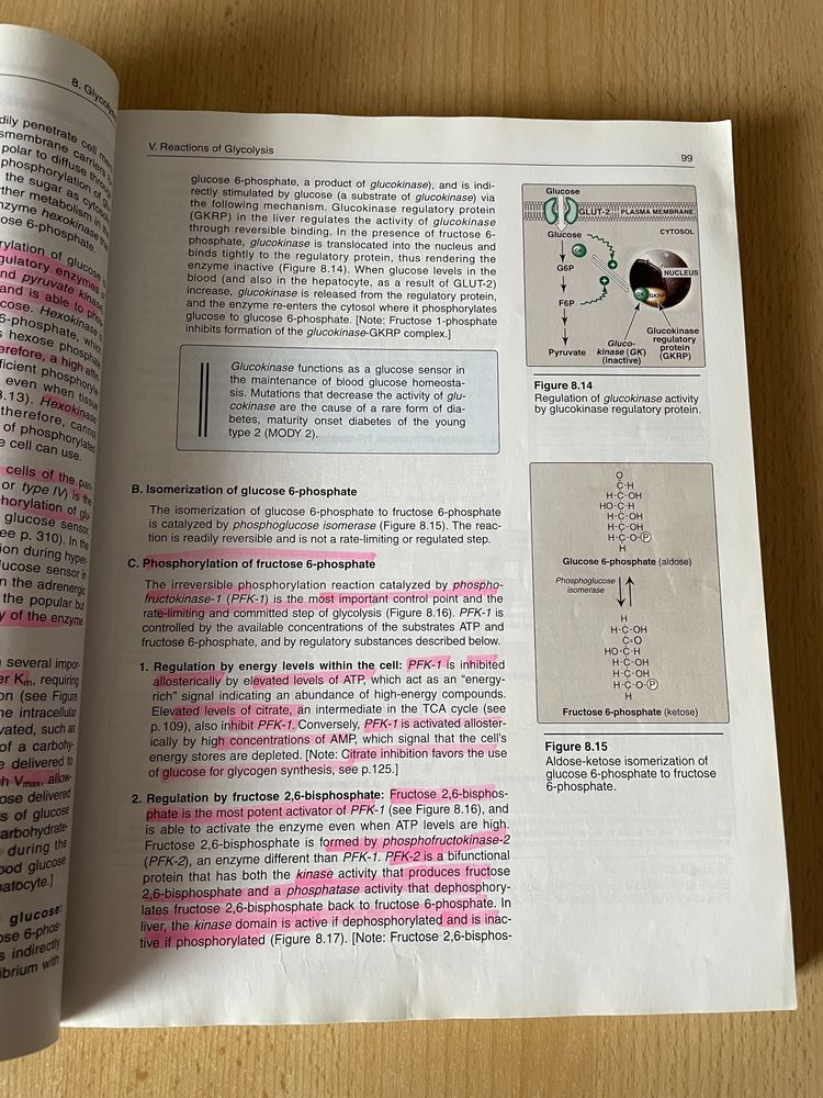 Biochemia (Biochemistry Lippincott's 5th Edition)