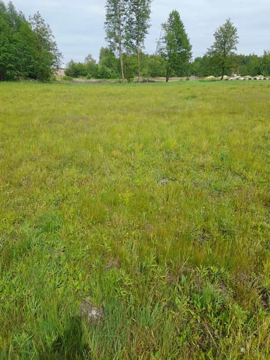 Działka budowlano-usługowa 1180m2