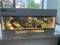 Sprzedam terrarium