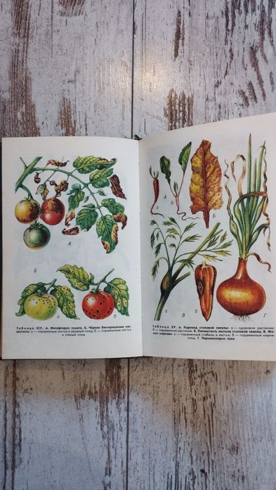 Книга,,800 практических советов огородніку -любителю,,