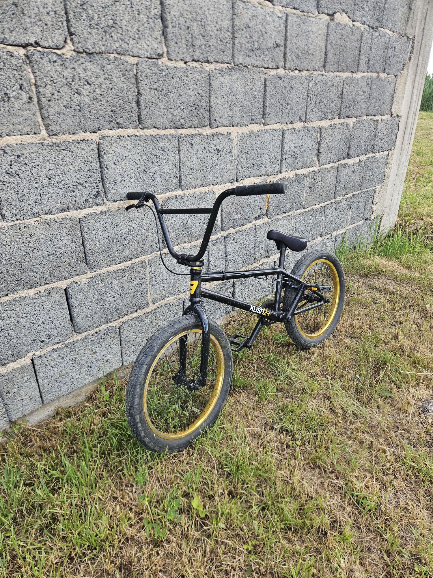 Rower BMX kush2+