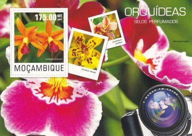 znaczki pocztowe czyste - Mozambik 2014 cena 4,90 zł kat.8€ - flora