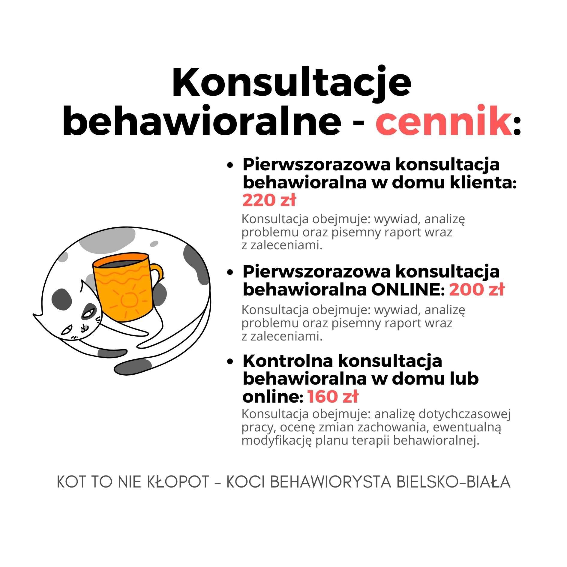 Koci Behawiorysta - konsultacje behawioralne Bielsko-Biała / online