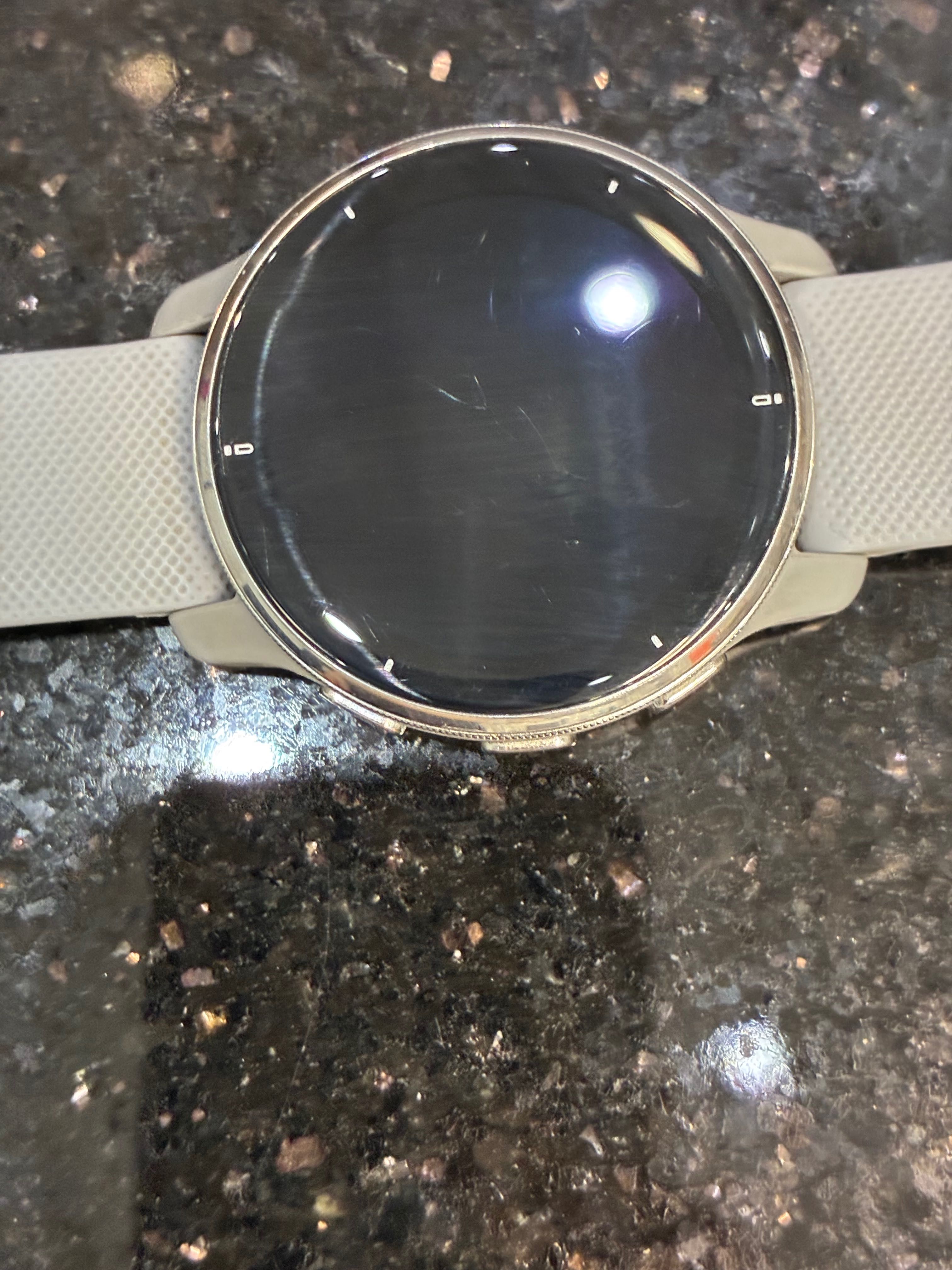 Garmin Venu 2 Plus