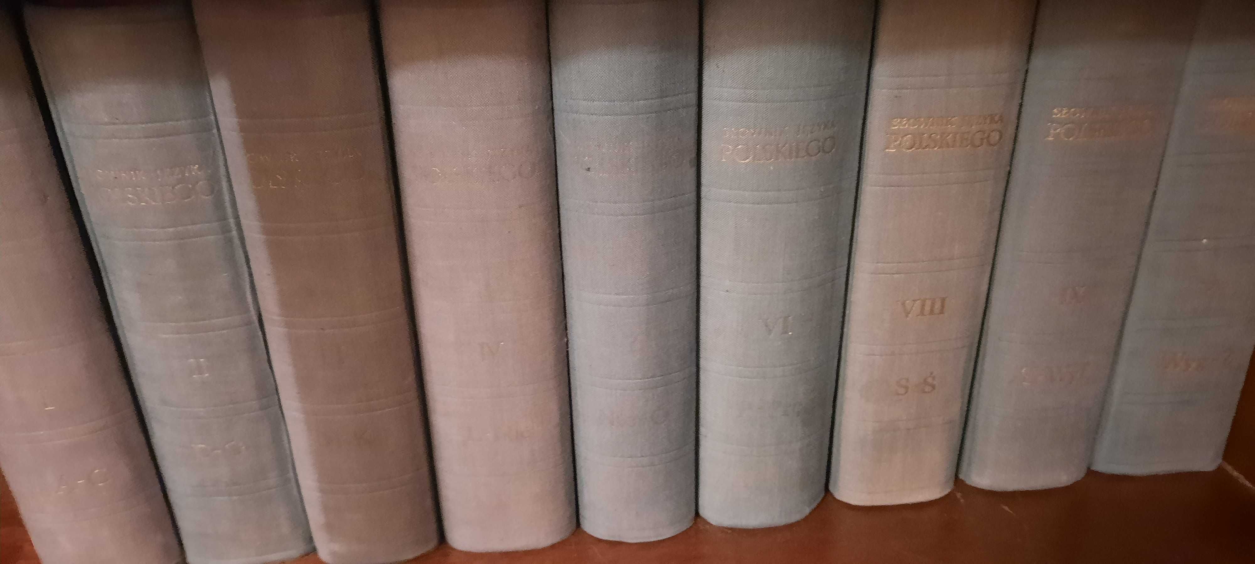Słownik Języka Polskiego pod red. W. Doroszewskiego