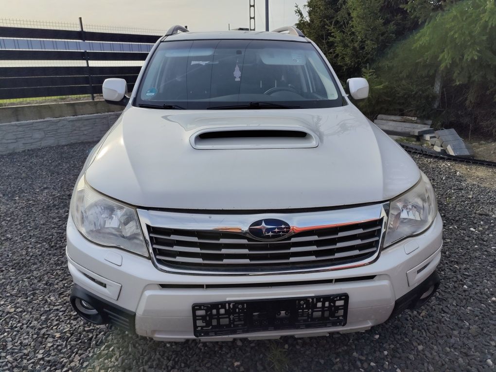 Subaru Forester Diesel