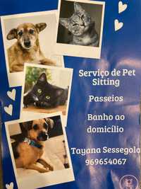 Banho de cão/gato ao domicílio - Pet Sitting