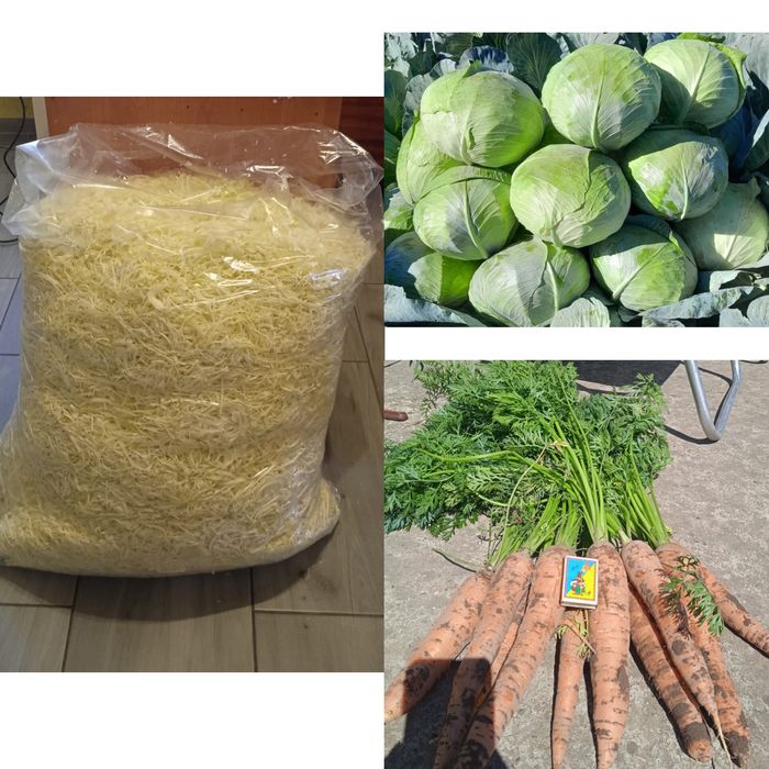 Шаткована капуста Агресор