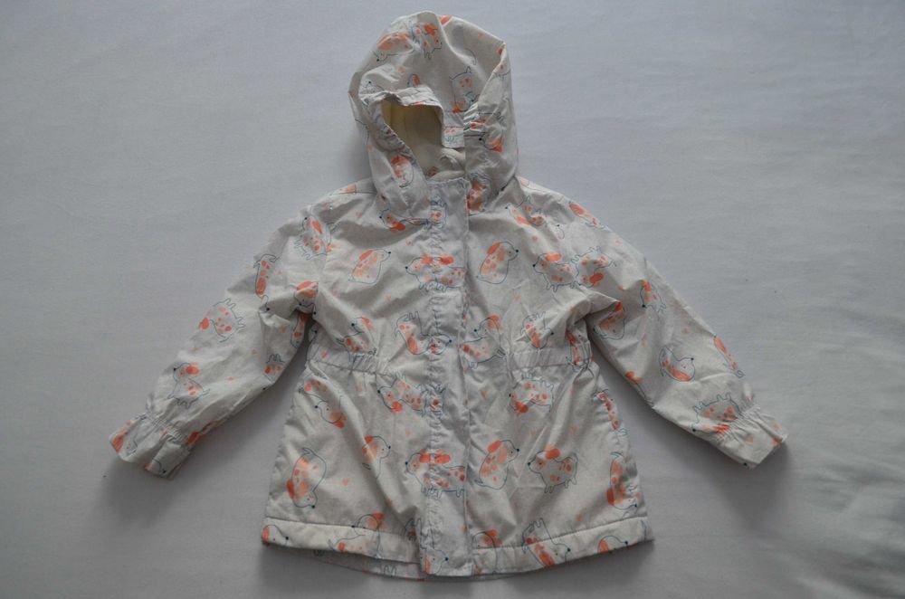 kurtka 86 wiatrówka 5.10.15. pieski