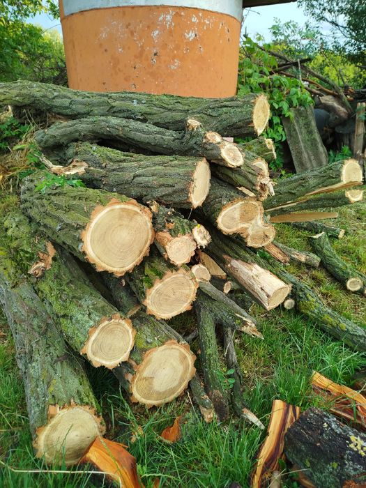 Продам дрова твердих порід