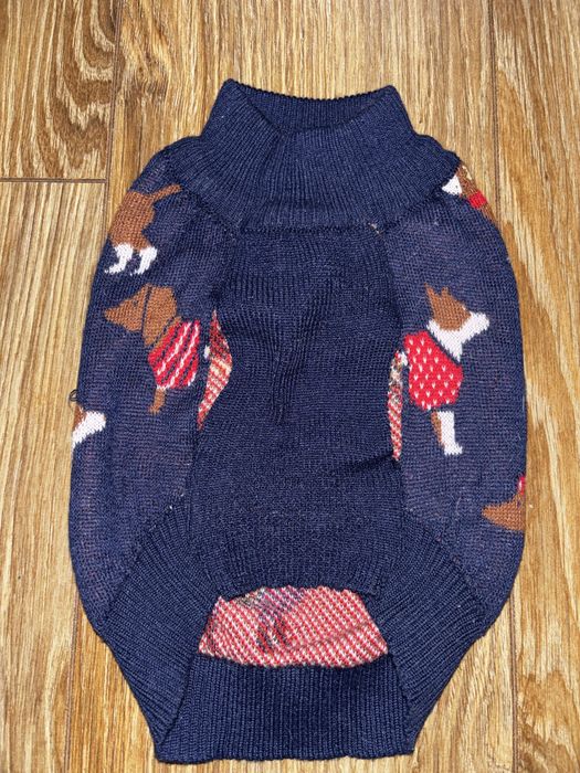 Sweter dla małego psa