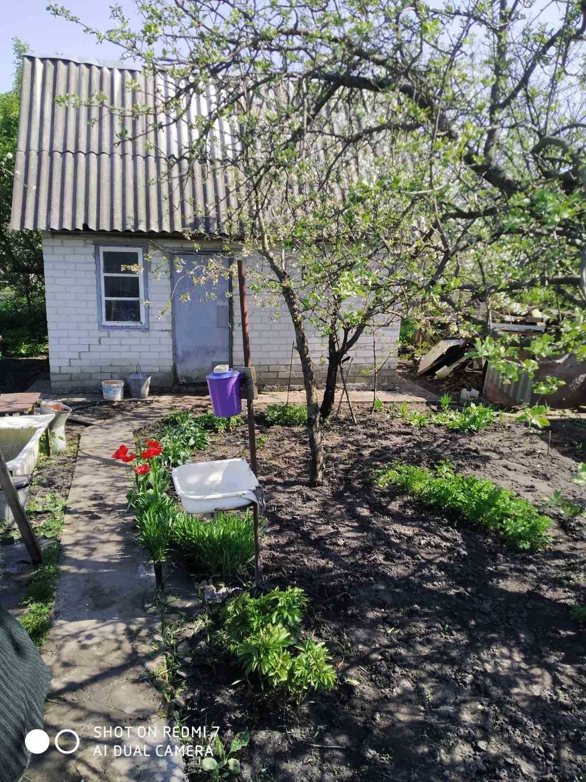 Садівниче товариство" Хімік" Черкаської обл. Золотоніський р-н