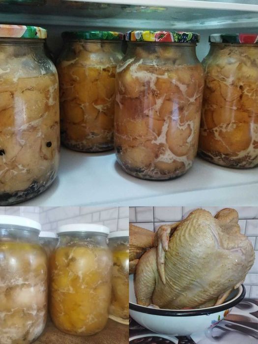 Продам тушонку та тушки домашніх бройлерів