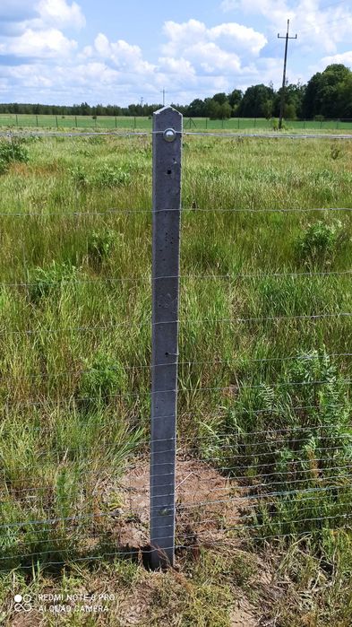 Ogrodzenie siatka leśna na słupach betonowych