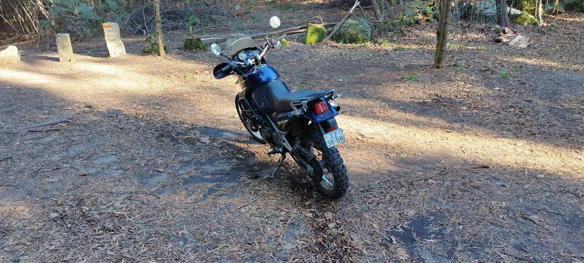 Kawasaki KLE 500