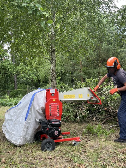 Зрізання дерев, Кронування, Спил частинами, Обрізка гілок, Утилізація
