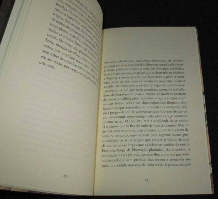 Livro Sara Ricardo Norte