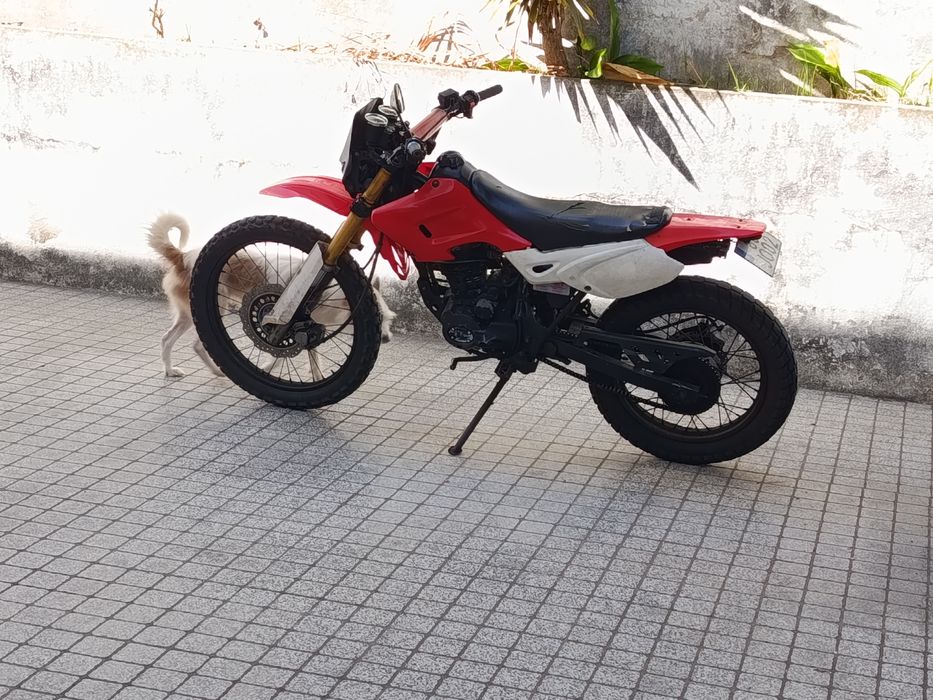 Mota de Mato ( Matrículada )